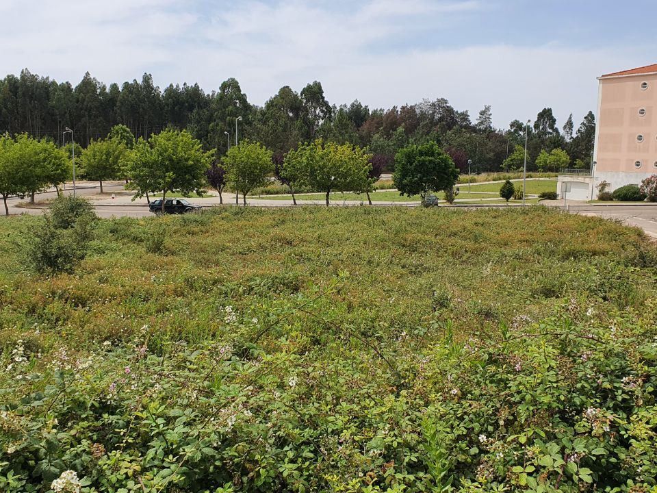 Villa i Ferreira do Zezere, Santarem - foto 3