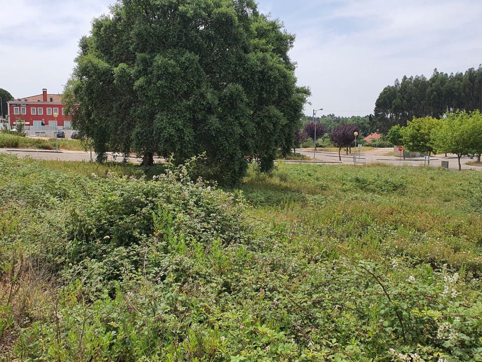 Villa i Ferreira do Zezere, Santarem - foto 4