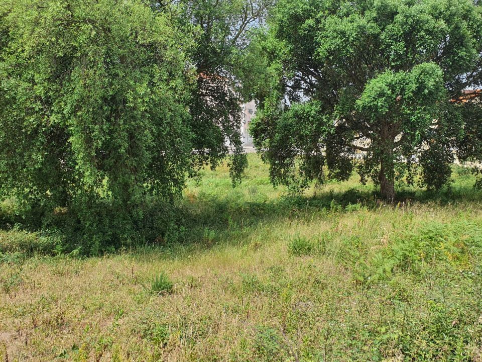 Villa i Ferreira do Zezere, Santarem - foto 5