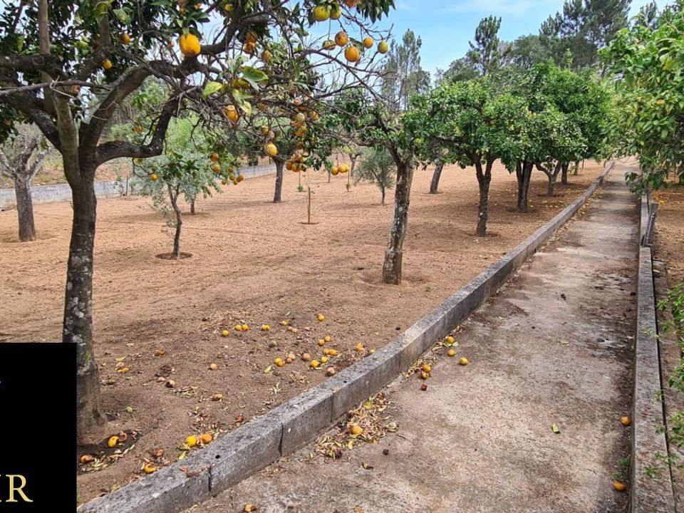 Helårsgrund i Tomar, Santarem - foto 3