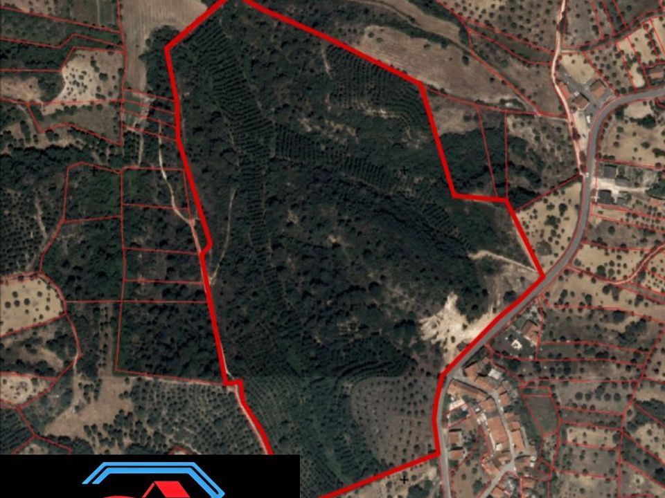 Helårsgrund i Torres Novas, Santarem - foto 1