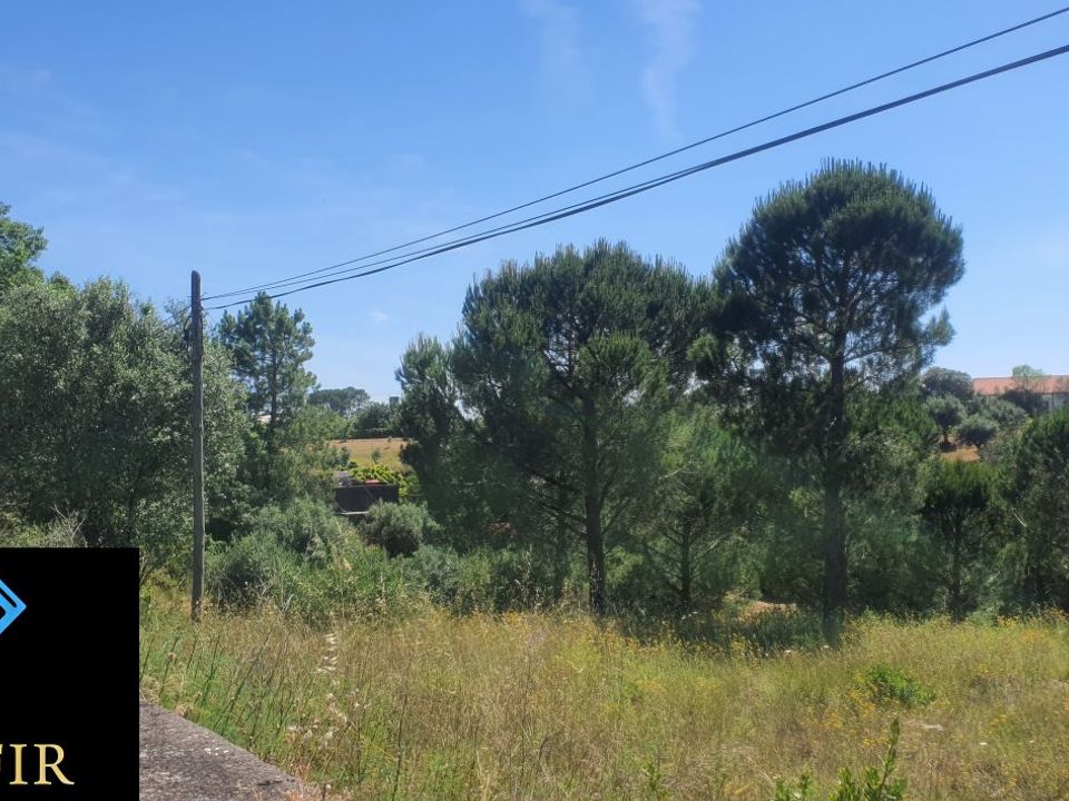 Helårsgrund i Torres Novas, Santarem - foto 2