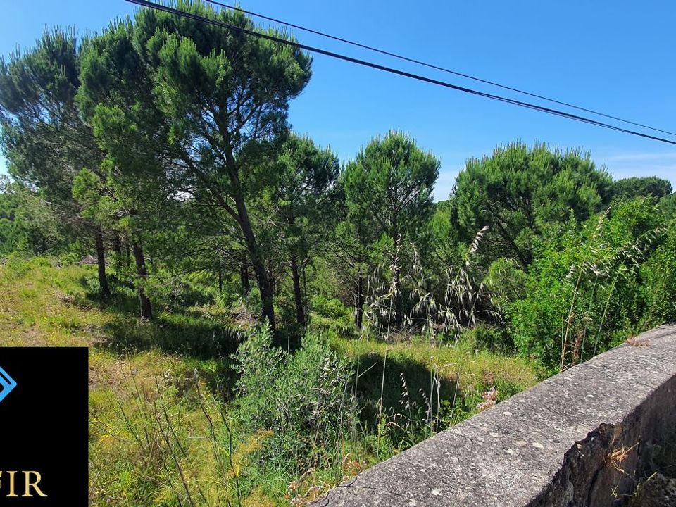 Helårsgrund i Torres Novas, Santarem - foto 3