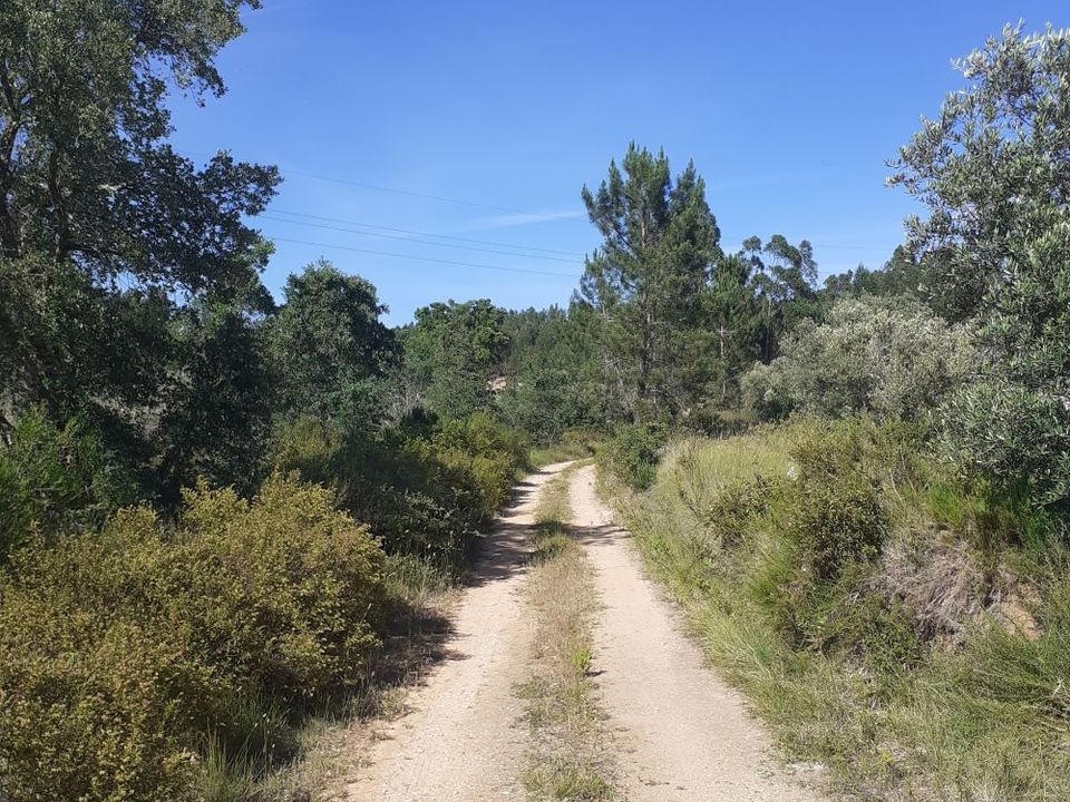 Helårsgrund i Tomar, Santarem - foto 5