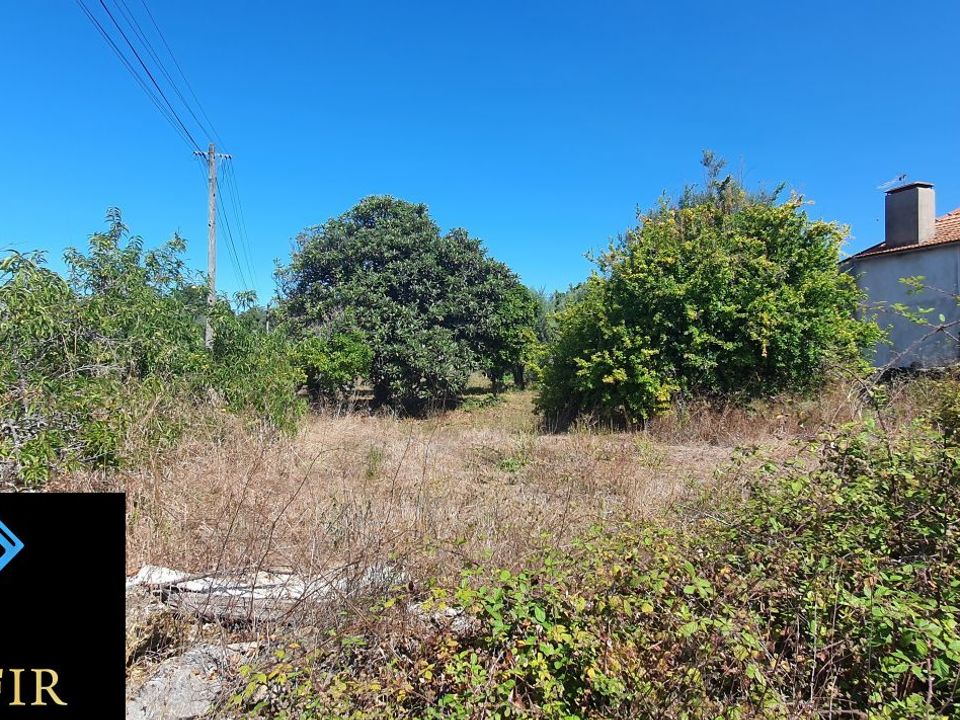 Landejendom i Ferreira do Zezere, Santarem - foto 4