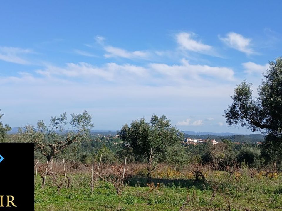 Helårsgrund i Ourem, Santarem - foto 3