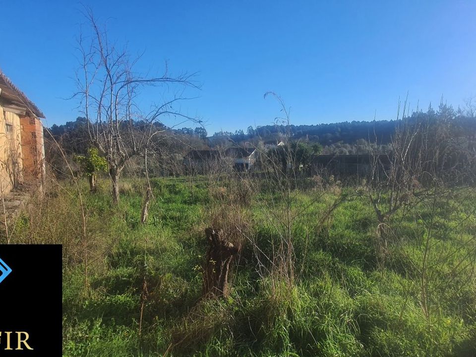 Helårsgrund i Ferreira do Zezere, Santarem - foto 2