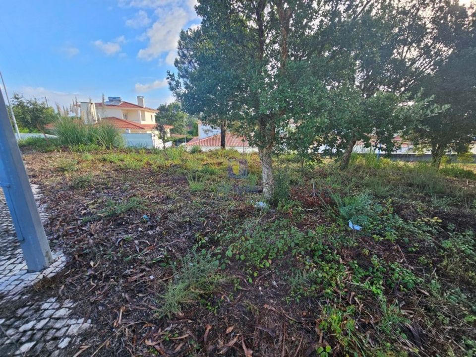 Helårsgrund i Caldas da Rainha, Leiria - foto 2