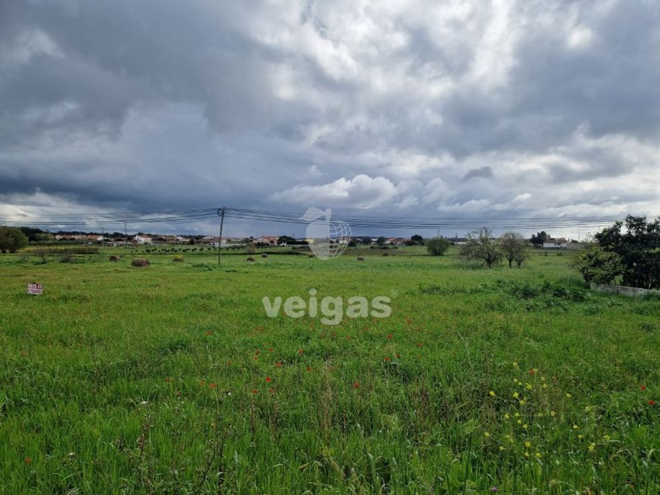 Tomt i Monte Real, Leiria - bilde 4