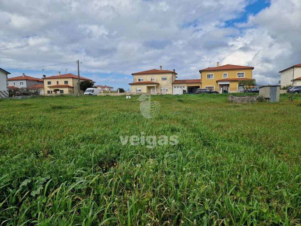 Tomt i Monte Real, Leiria - bilde 5