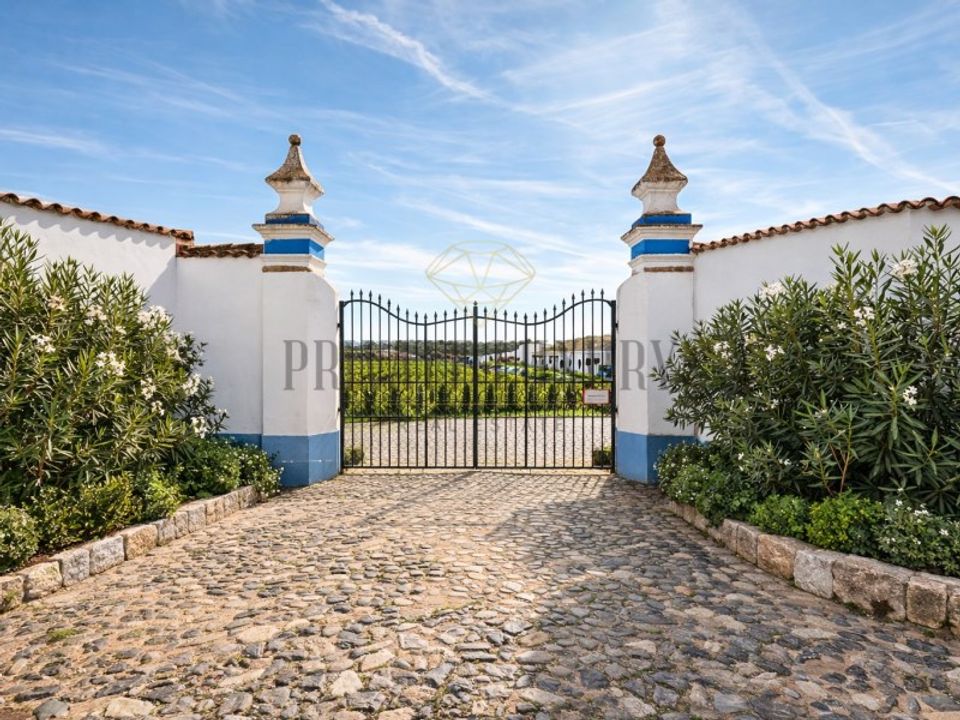 Farm i Vidigueira, Beja - foto 1