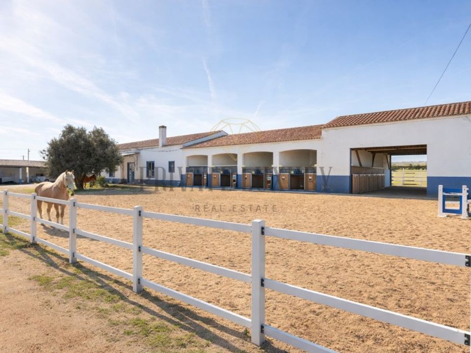 Farm i Vidigueira, Beja - foto 3