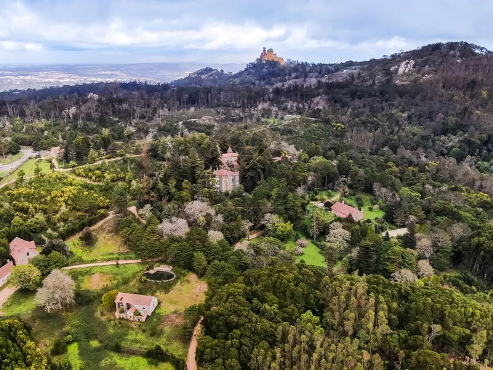 Farm i Sintra, Lisbon - foto 3
