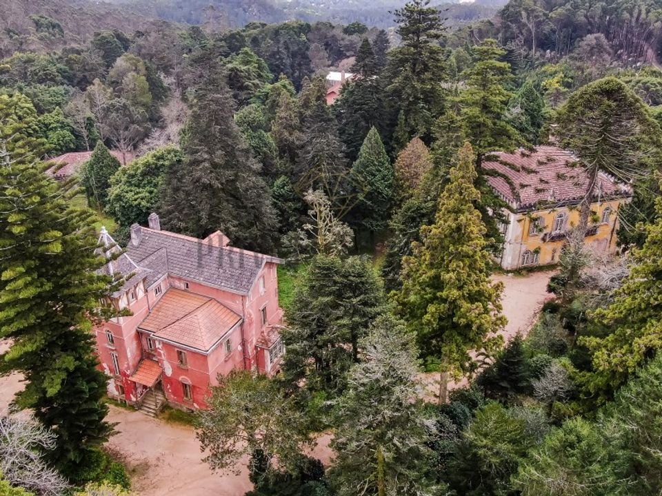 Farm i Sintra, Lisbon - foto 4