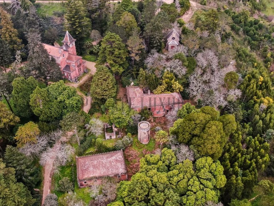 Farm i Sintra, Lisbon - foto 5