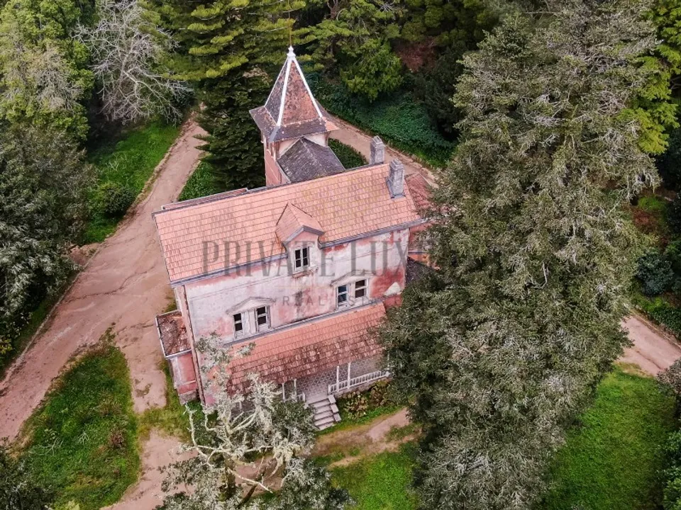 Farm i Sintra, Lisbon - foto 1