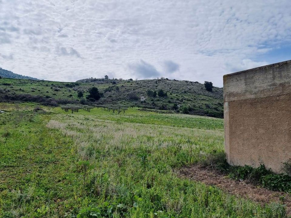 Helårsgrund i Sambuca di Sicilia, Agrigento - foto 3