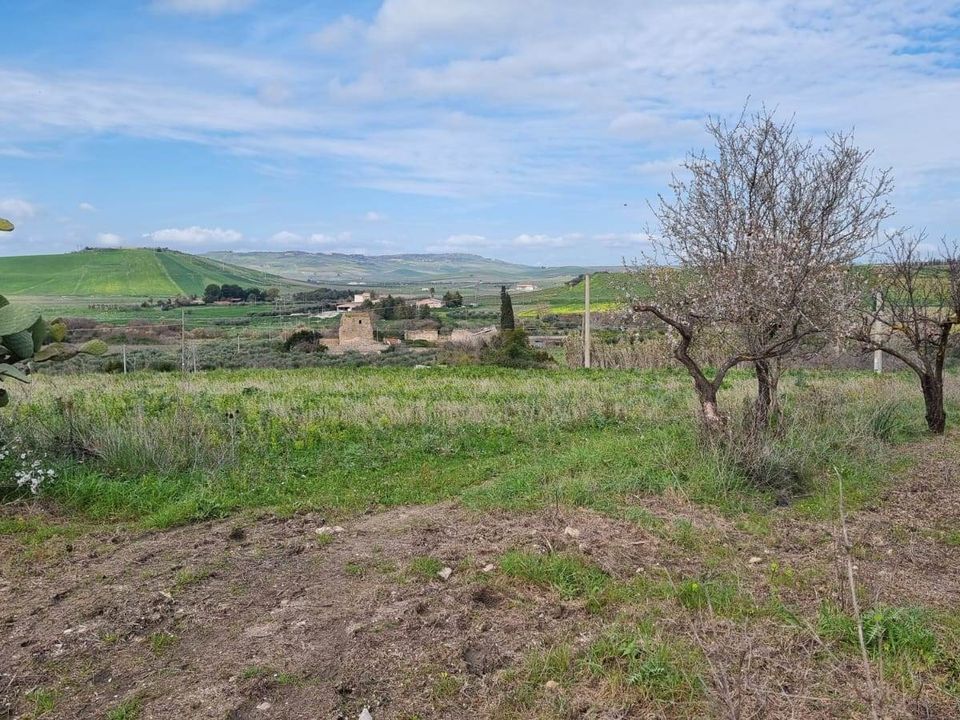 Helårsgrund i Sambuca di Sicilia, Agrigento - foto 5
