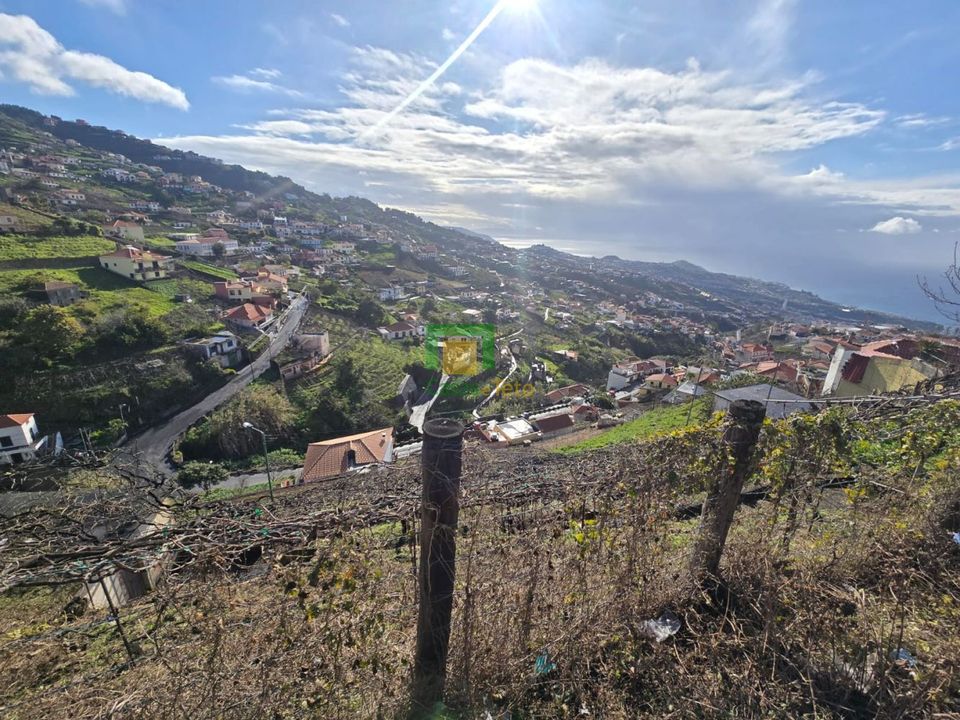 Helårsgrund i Camara de Lobos, Madeira - foto 2
