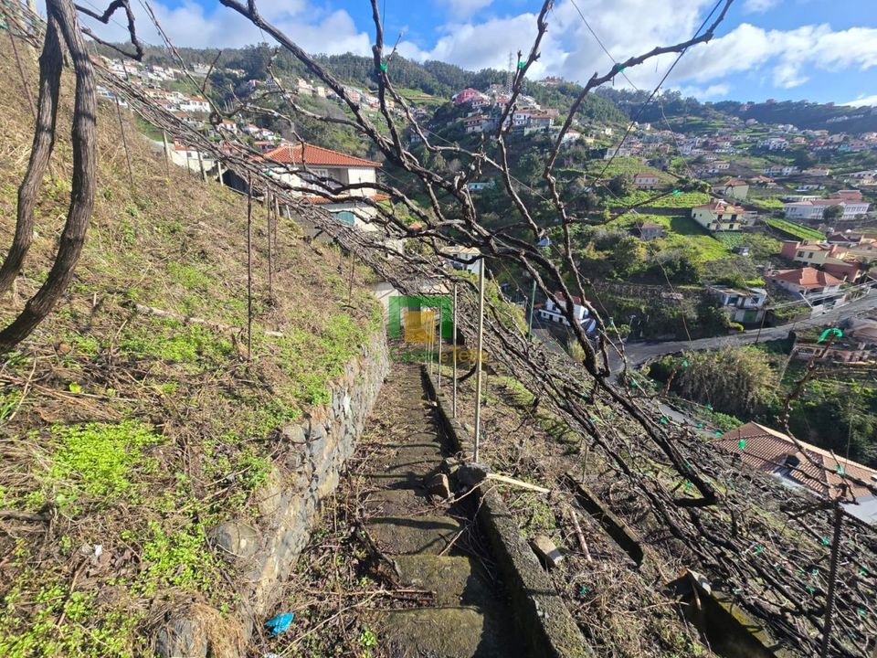 Helårsgrund i Camara de Lobos, Madeira - foto 3