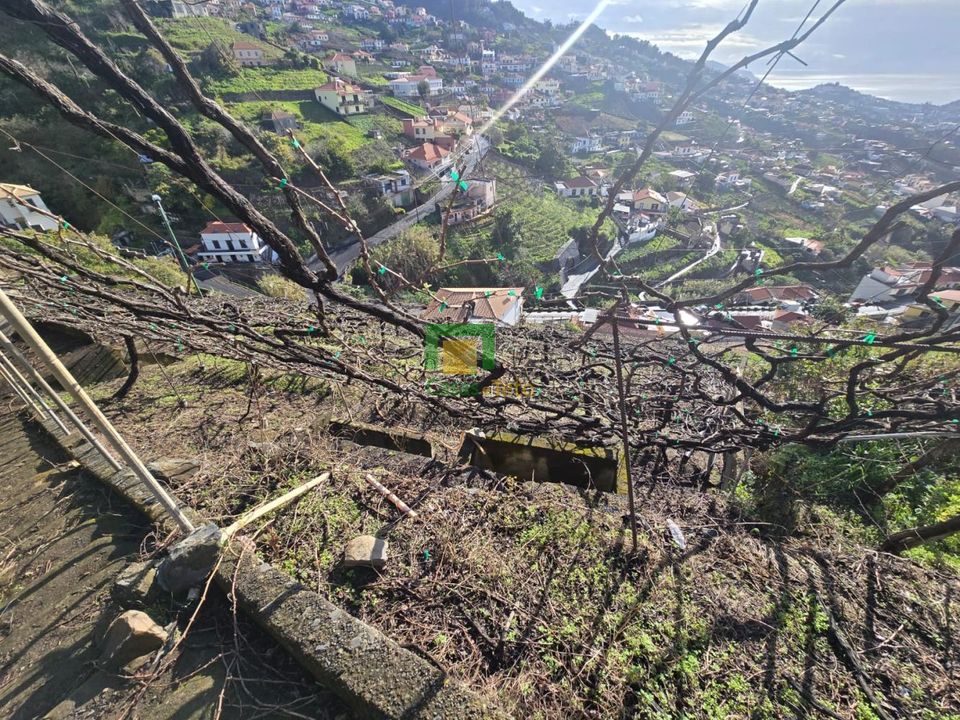 Helårsgrund i Camara de Lobos, Madeira - foto 4