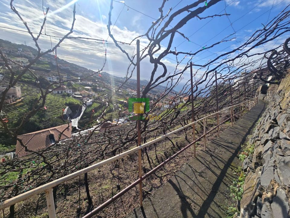Helårsgrund i Camara de Lobos, Madeira - foto 5