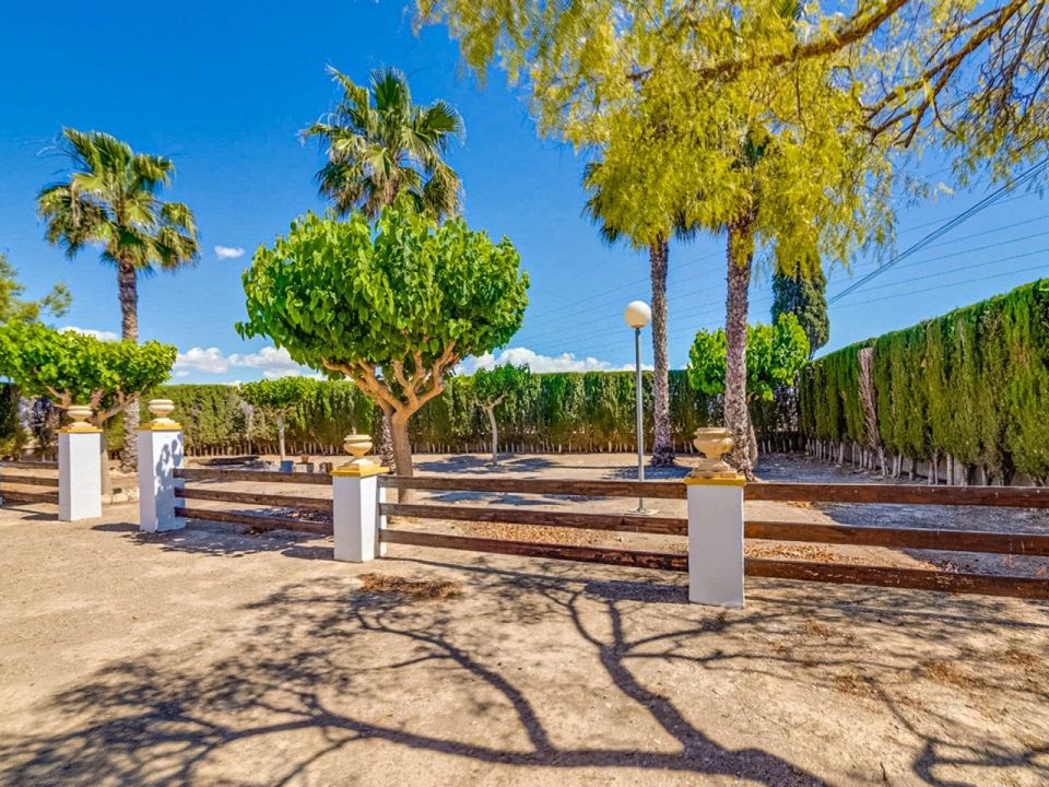 Masia a Jacarilla, Alicante - foto 5