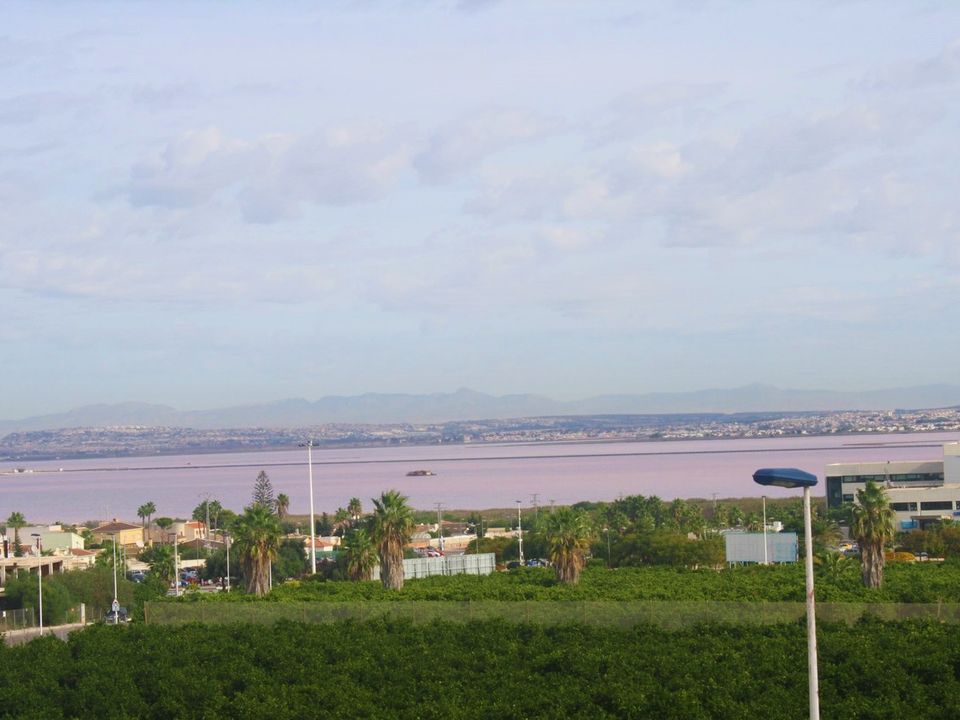 Byhus i Los Altos, Alicante - foto 4