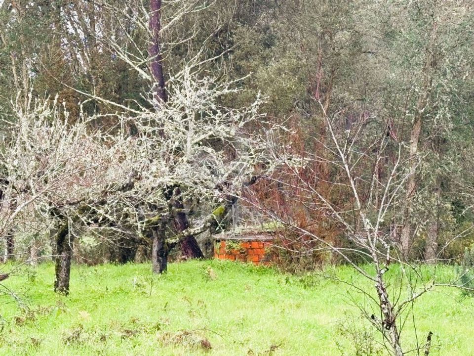 Helårsgrund i Pataias, Leiria - foto 2