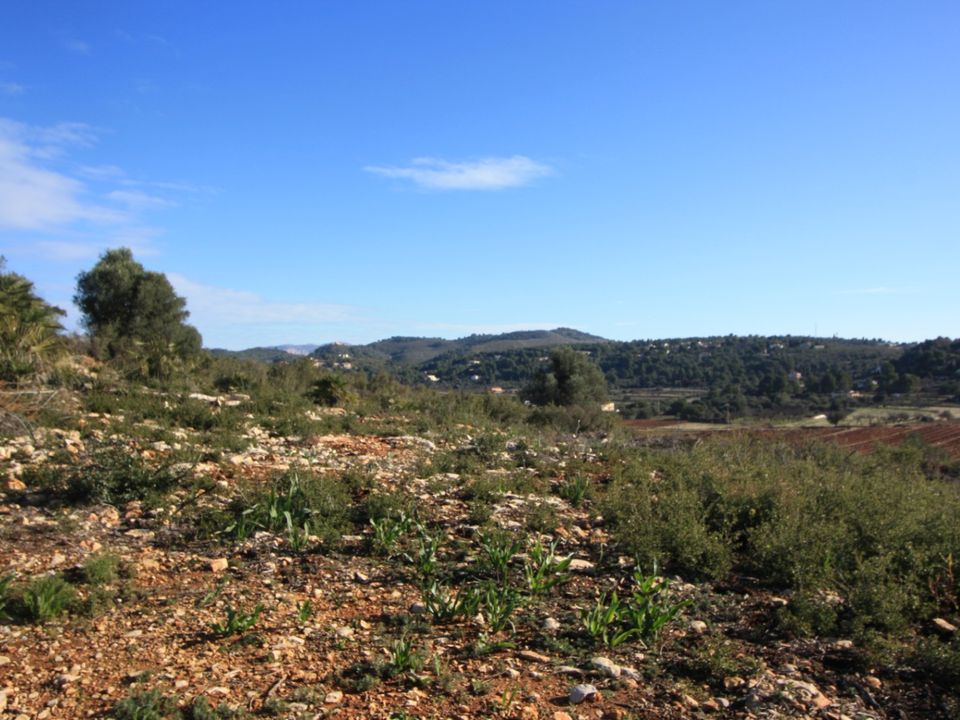 Helårsgrund i Jalon, Alicante - foto 2