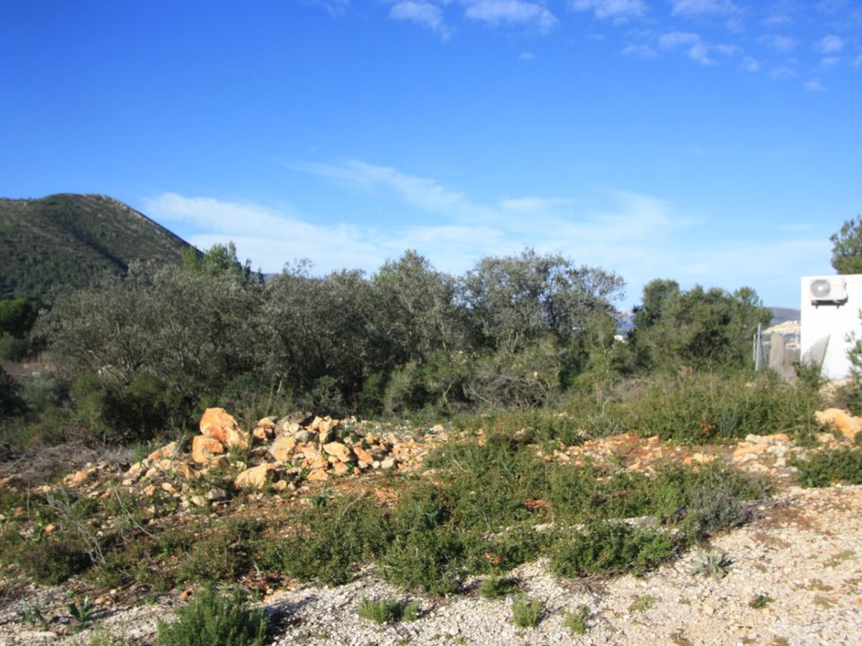 Helårsgrund i Jalon, Alicante - foto 3