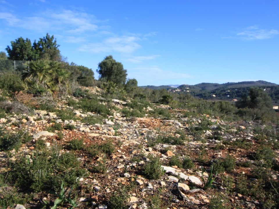 Helårsgrund i Jalon, Alicante - foto 4