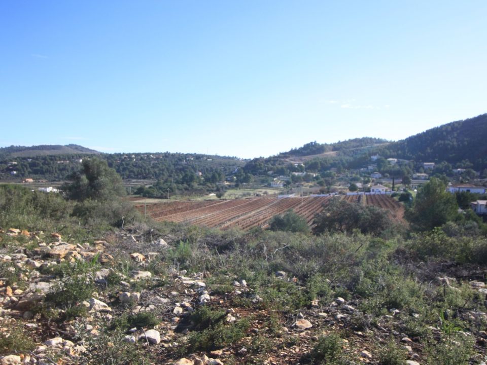 Helårsgrund i Jalon, Alicante - foto 5
