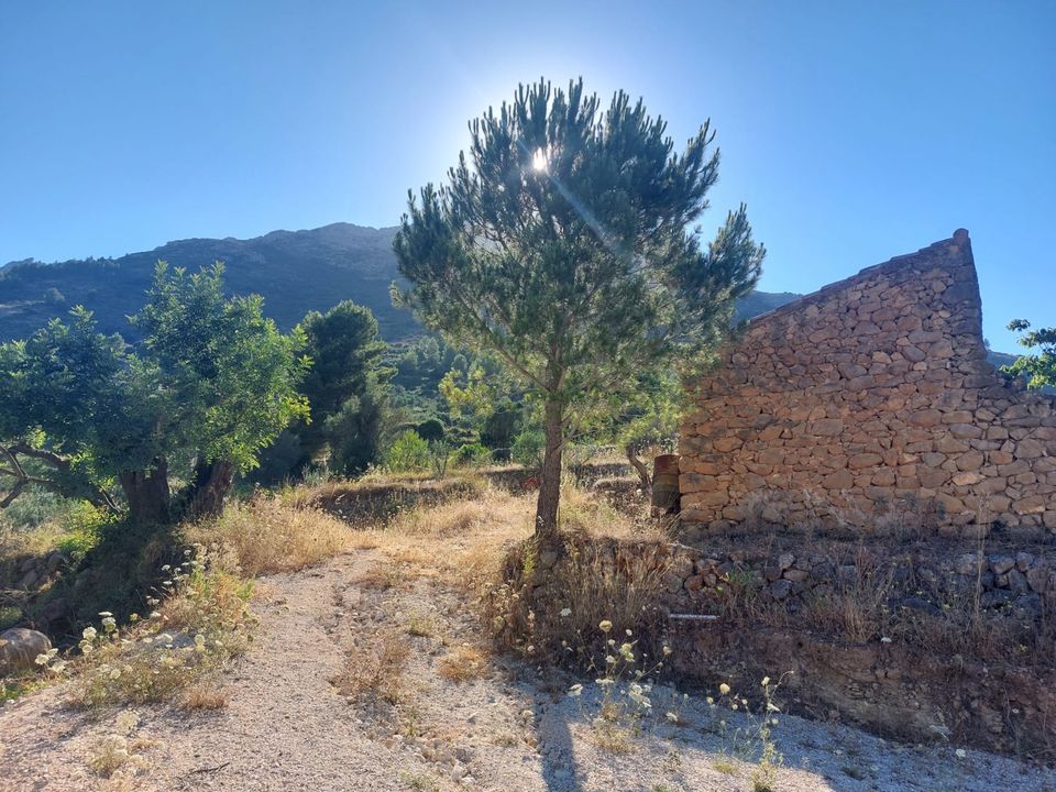 Helårsgrund i Jalon, Alicante - foto 4