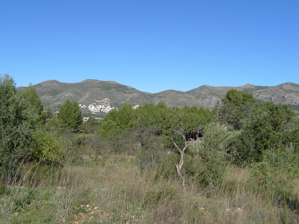 Helårsgrund i Jalon, Alicante - foto 1