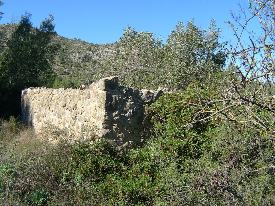 Helårsgrund i Jalon, Alicante - foto 3