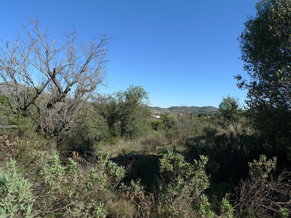 Helårsgrund i Jalon, Alicante - foto 4