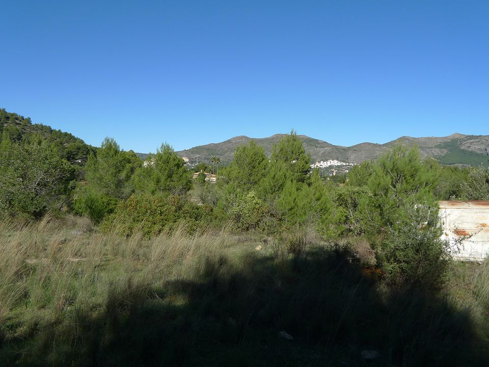 Helårsgrund i Jalon, Alicante - foto 5