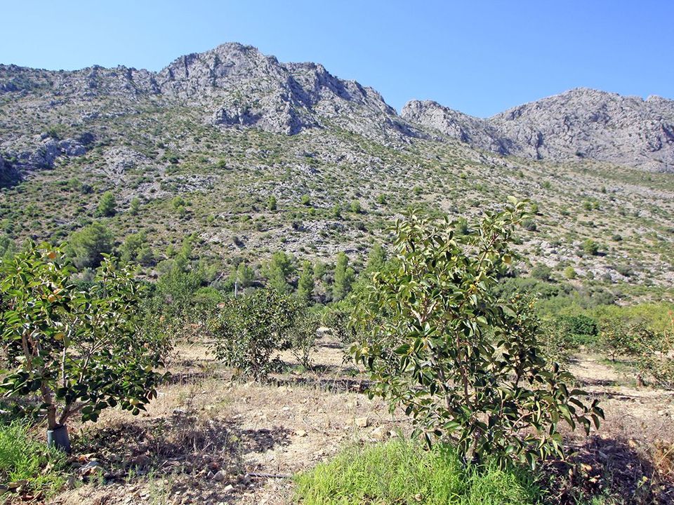 Helårsgrund i Orba, Alicante - foto 1