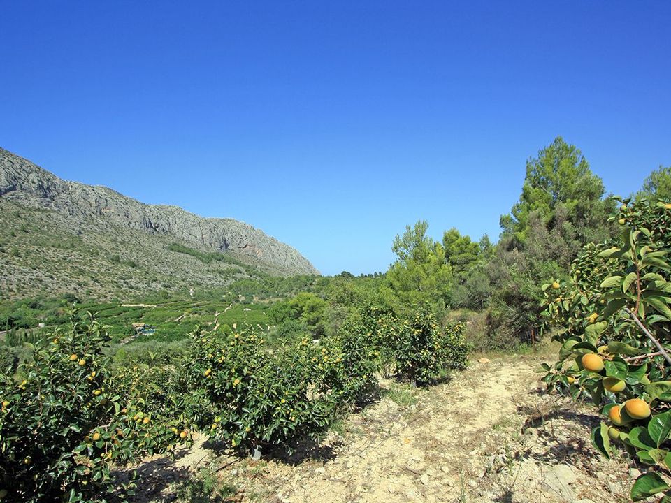 Helårsgrund i Orba, Alicante - foto 2