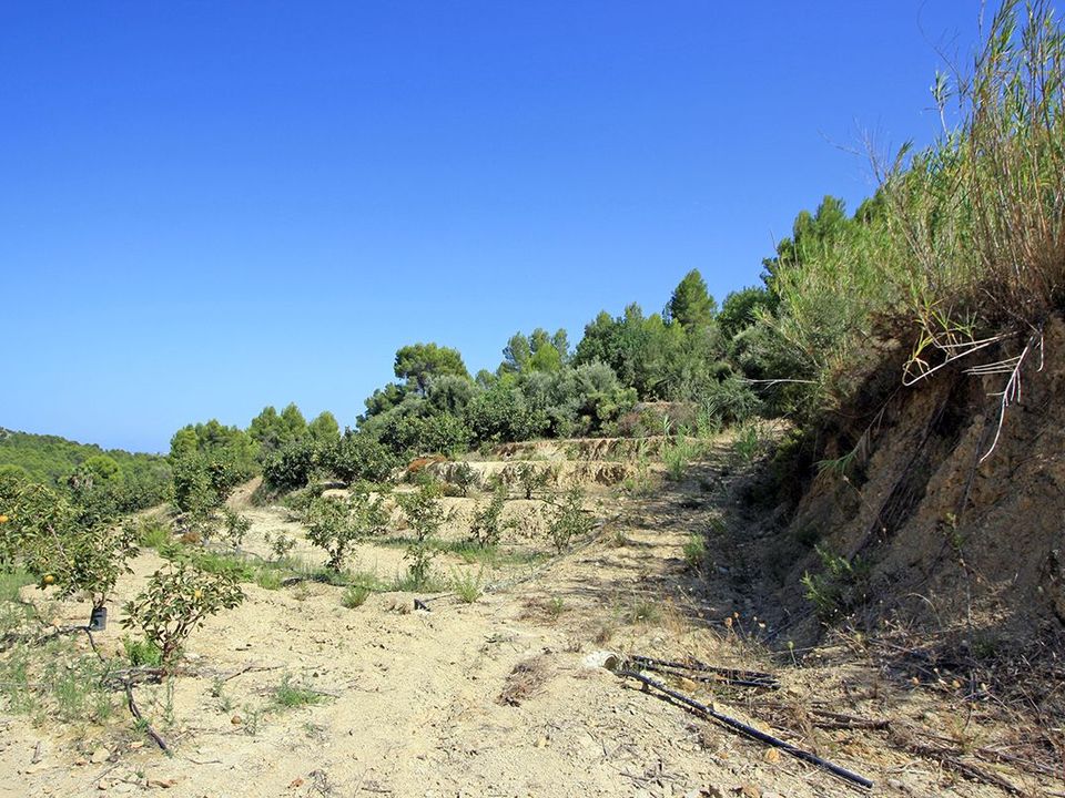 Helårsgrund i Orba, Alicante - foto 3