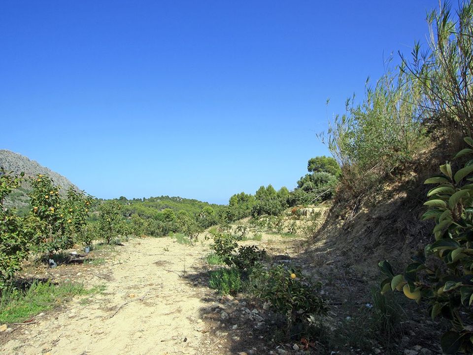 Helårsgrund i Orba, Alicante - foto 4