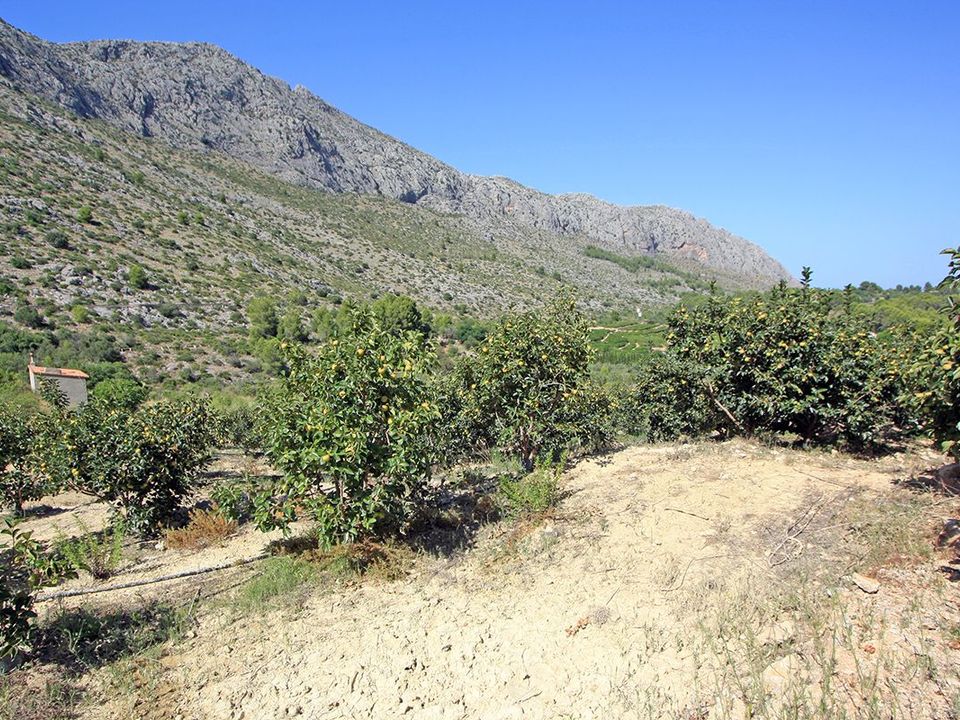 Helårsgrund i Orba, Alicante - foto 5