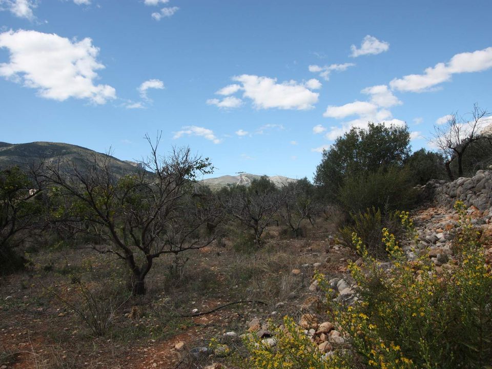 Helårsgrund i Orba, Alicante - foto 5
