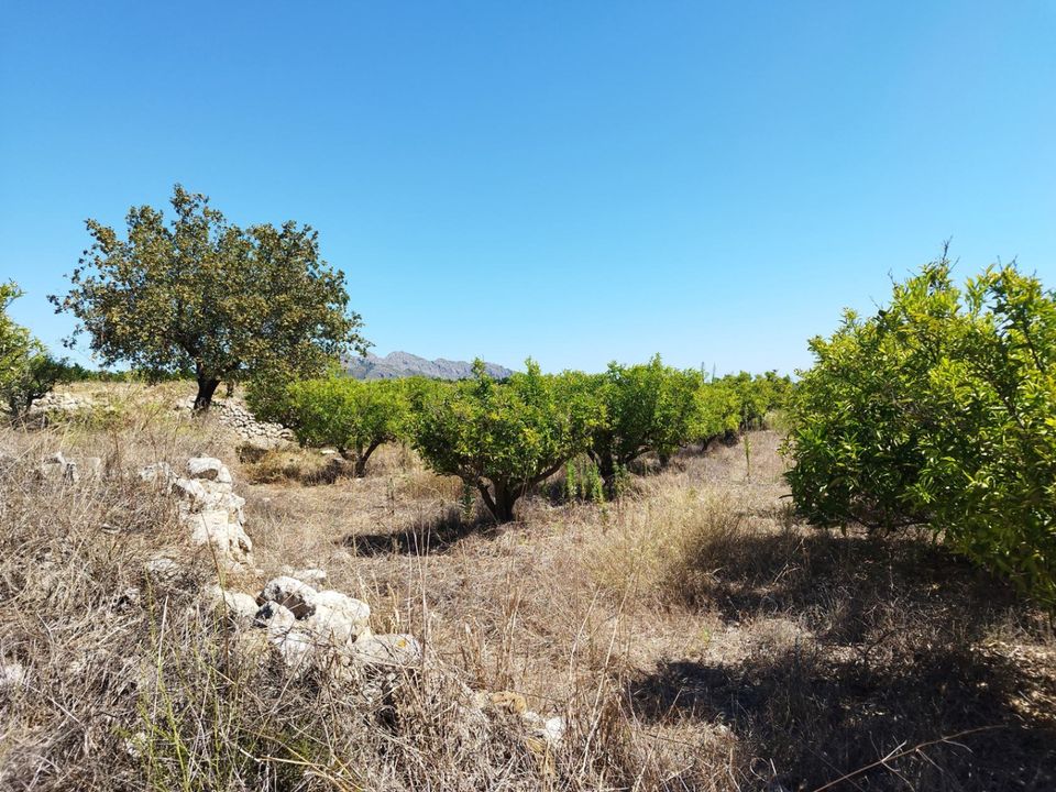 Helårsgrund i Orba, Alicante - foto 5