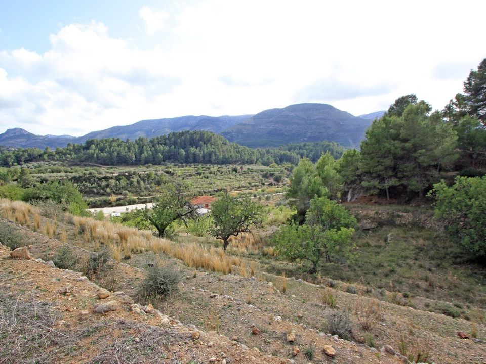 Helårsgrund i Jalon, Alicante - foto 1