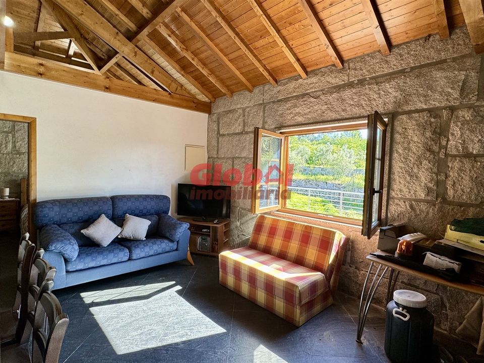 Farm i Viseu, Viseu - foto 1