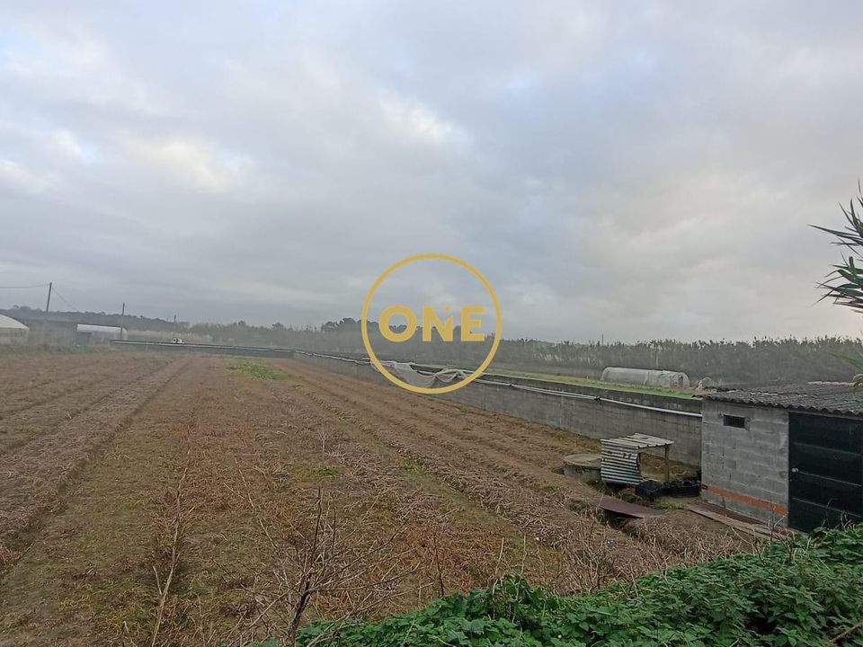 Helårsgrund i Esposende, Braga - foto 1