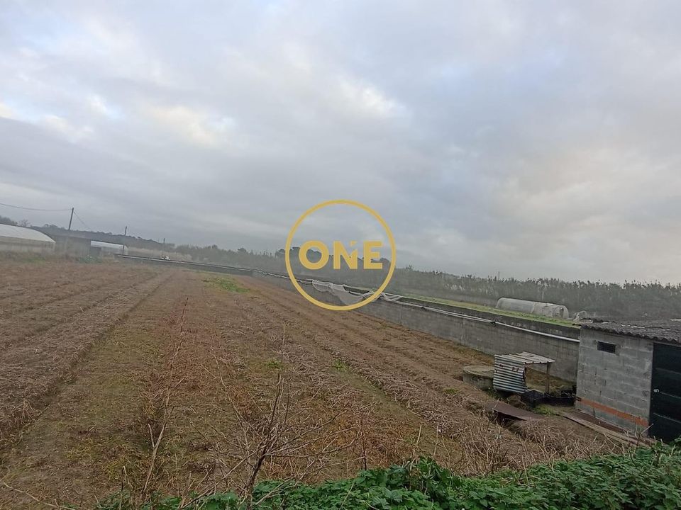 Helårsgrund i Esposende, Braga - foto 3
