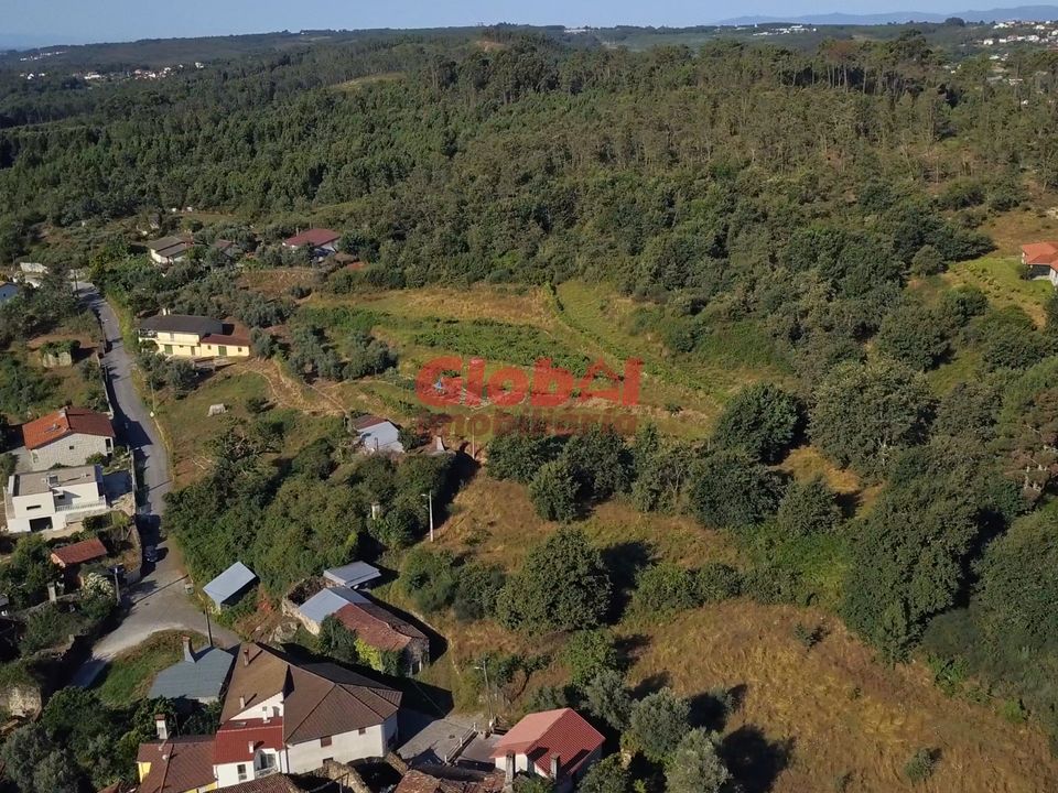 Farm i Viseu, Viseu - foto 2
